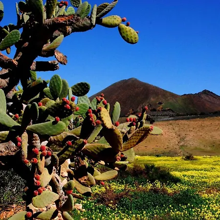 Liebevoll Eingerichtetes Calima Amarilo By Interhome