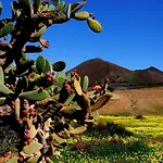 Liebevoll Eingerichtetes Calima Amarilo By Interhome