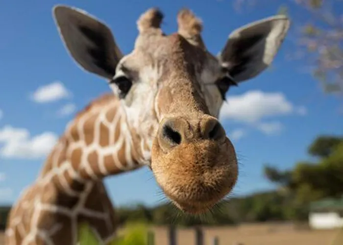 Liebevoll Eingerichtetes Calima Amarilo By Interhome