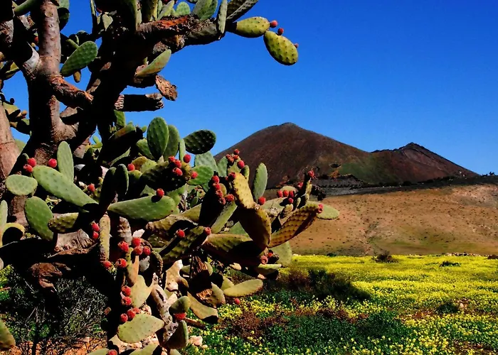 Liebevoll Eingerichtetes Calima Amarilo By Interhome